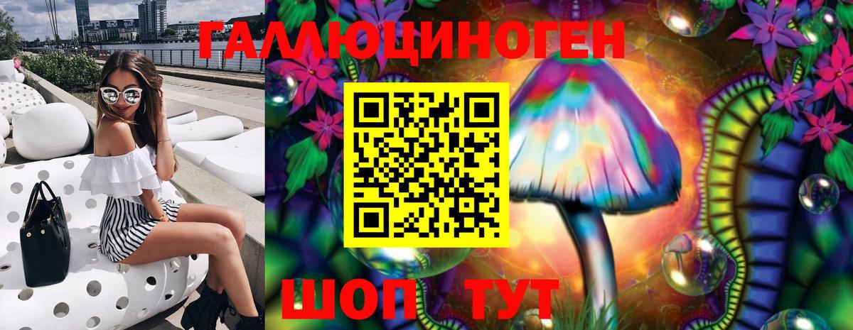 Новочеркасск  Галлюциногенные грибы Psilocybe  Вход с VPN 