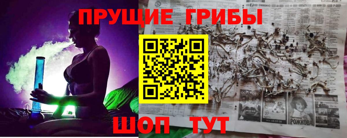 Псилоцибиновые грибы Cubensis Новочеркасск